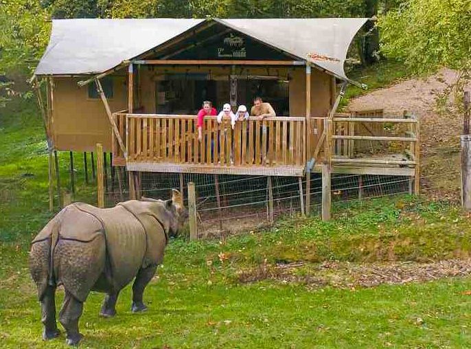 Rhinoceros-et-tentes-Cerza-Safari-Lodge-Herminal-Les-Vaux.jpg